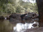 purajungla lake full.jpg (78917 bytes)