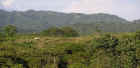 ridge.jpg (505648 bytes)