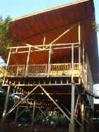 GH_fr_jungle.jpg (40859 bytes)